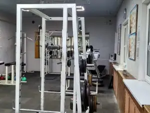 Дельфин