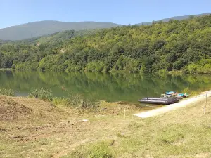 Divljansko jezero