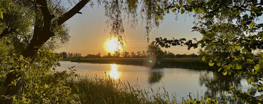 Campingplatz am Oderstrom