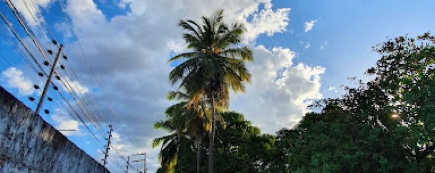 Exibition Park