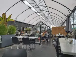 Harrisons Country Gardenworld