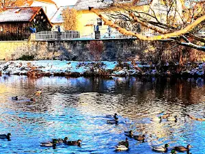 Stadt Park