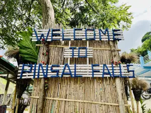 Pinsal Falls Location