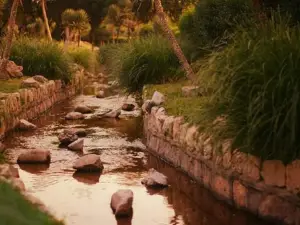 Kalak