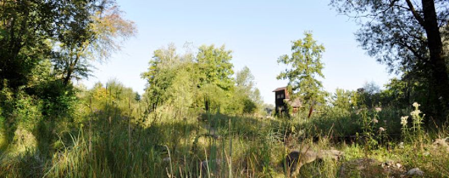 Naturlehrgebiet Buchwald