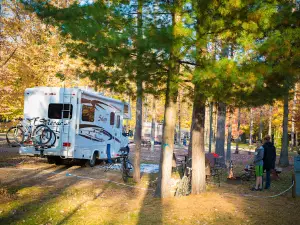 Outdoor Adventures Saginaw Bay Resort