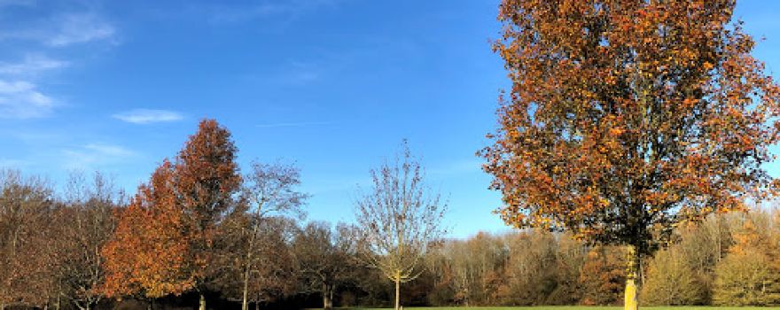 Radstock Way Open Space
