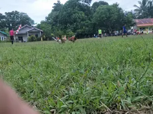 lapangan bola sei fatimah