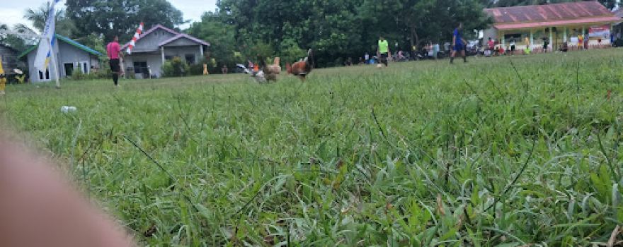 lapangan bola sei fatimah