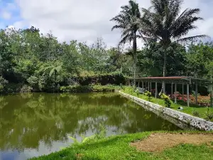 Pagar Alam Green Paradise