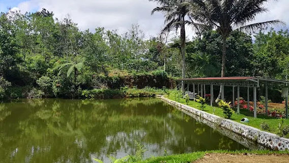 Pagar Alam Green Paradise