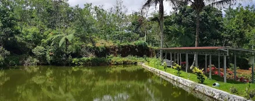 Pagar Alam Green Paradise