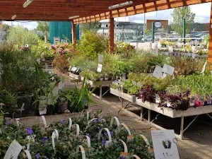 botanic Haguenau