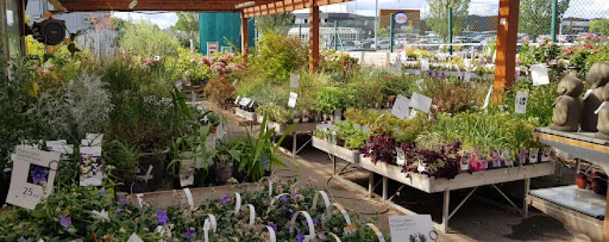 botanic Haguenau