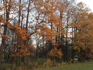 Karamzinskiy Park