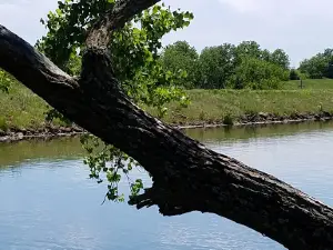Prairie Lake