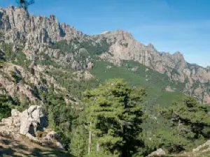 Alpa Corse