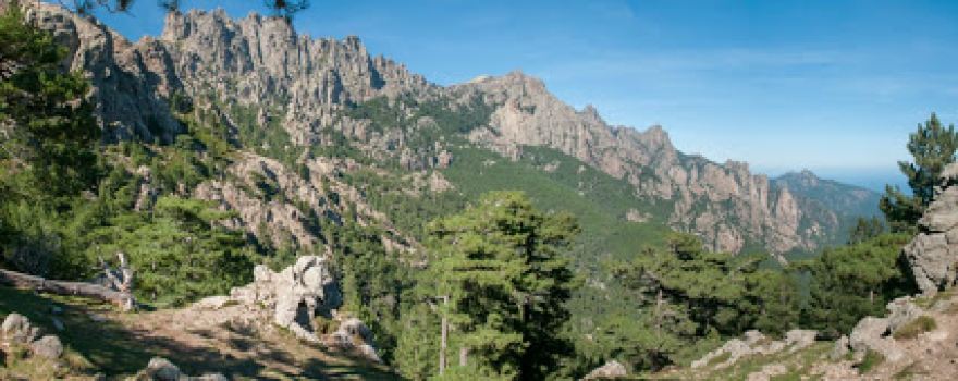 Alpa Corse