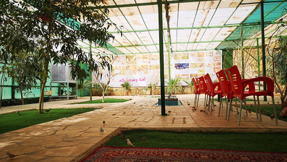 Sami Protected Birds