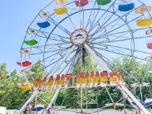 Mother Lode Fairgrounds