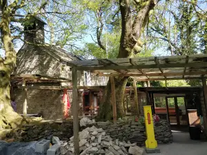 Maha Shakti / Kali Temple