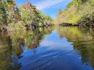 Fair Bluff River Walk