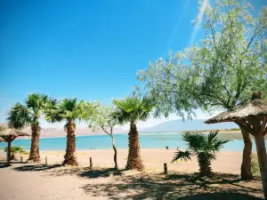 Camping Palmar del Lago