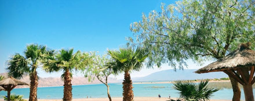 Camping Palmar del Lago