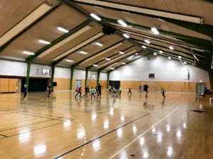 Pulsen i Salling