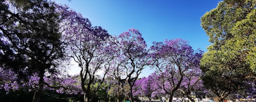 Hogben Park