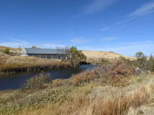 Hudson-Meng Bison Kill Bed