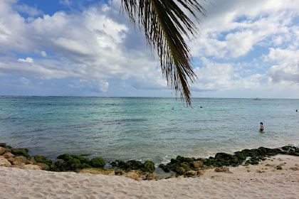 Restaurante Playa Blanca - Puntacana Beach & Golf