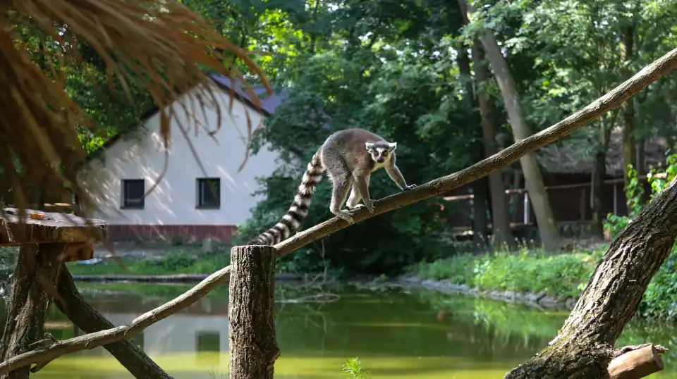 2_Zoo Bratislava