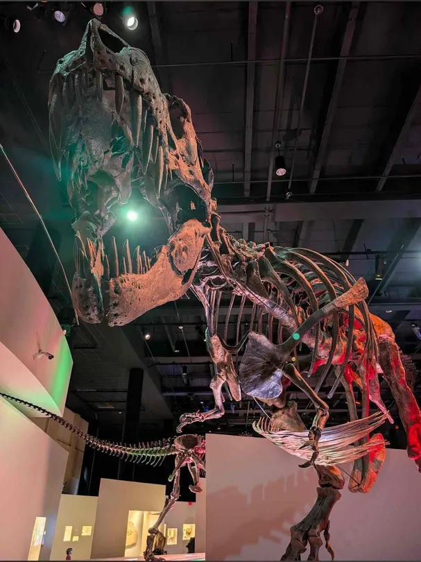 5_Houston Museum of Natural Science