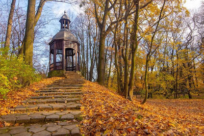 Franz Lang's City Park in Tarnowskie Góry