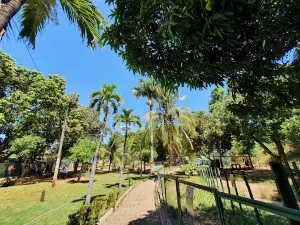 San Francisco Zoo Caninde