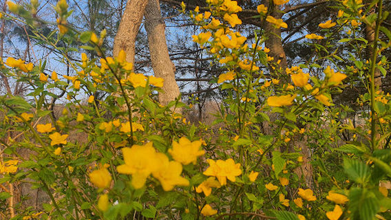 Pungam Life Sports Park