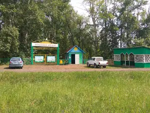 Dol "Solnechnaya Polyana"