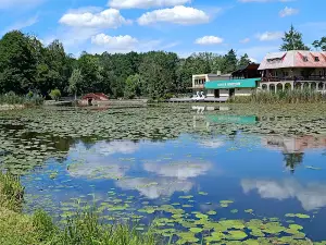 Municipal Sports and Recreation