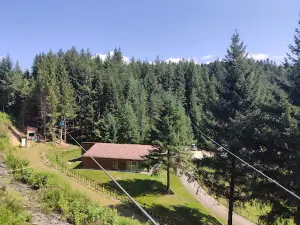 Parc accrobranche "Auvergne Parc Aventure"