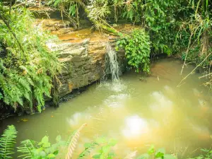 Acampamento da IPB de Reserva