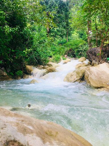 The Secret Waterfall Rishikesh - DhaulSrot ( Brahmsutras Yog Village )