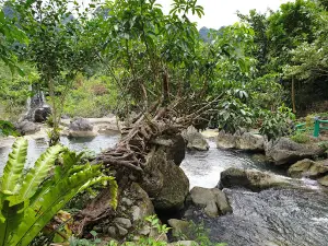 Khu du lịch Suối Mỏ Mắm