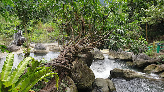 Khu du lịch Suối Mỏ Mắm