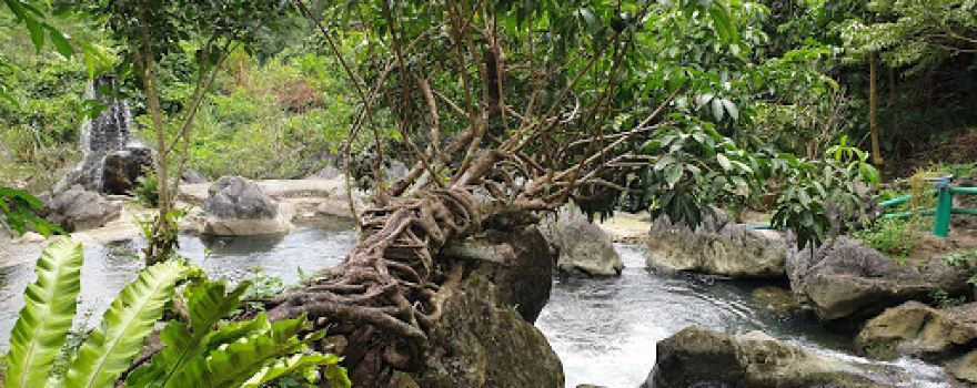 Khu du lịch Suối Mỏ Mắm