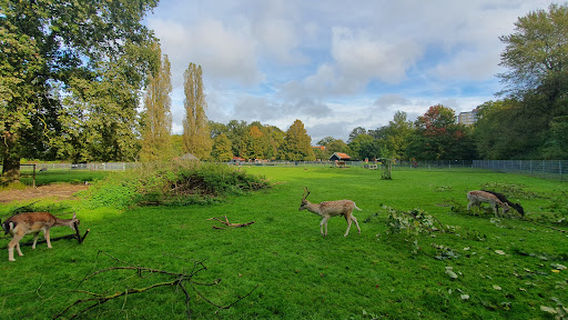 Stichting Kinderboerderij Enschede-Noord