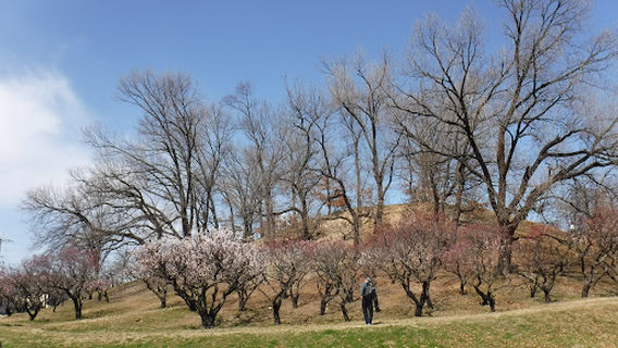Komuroyama Kofun