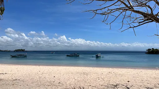 Pink Beach