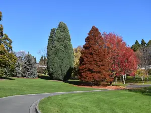 Royal Tasmanian Botanical Gardens