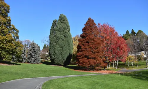 Royal Tasmanian Botanical Gardens